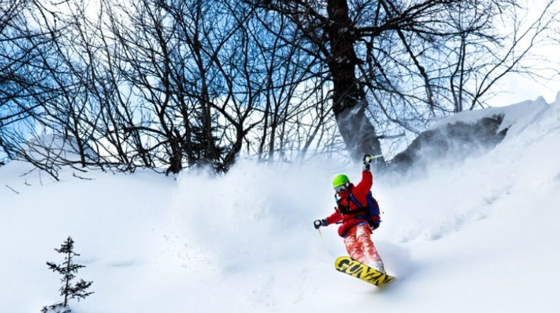 monoski vs snowboard