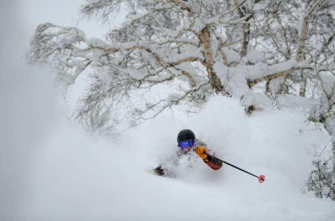 backcountry skiing vs freeride