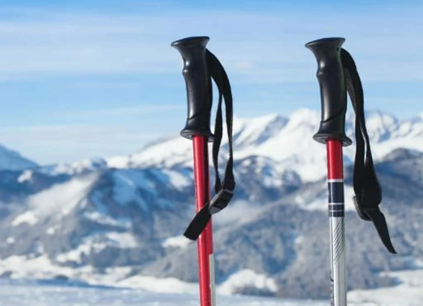 ski pole materials
