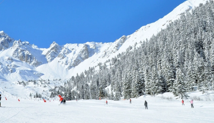 Master the Snow Plough to Parallel Turn: A Skier's Complete Guide