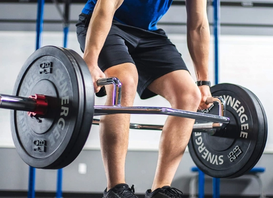 best back workout equipment