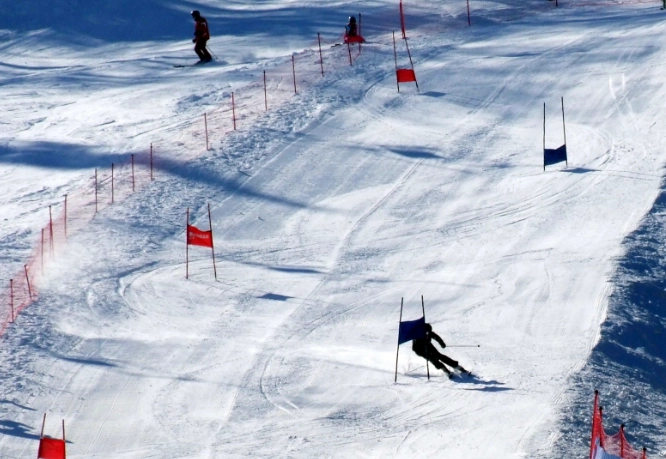giant slalom skiing giant slalom skiing