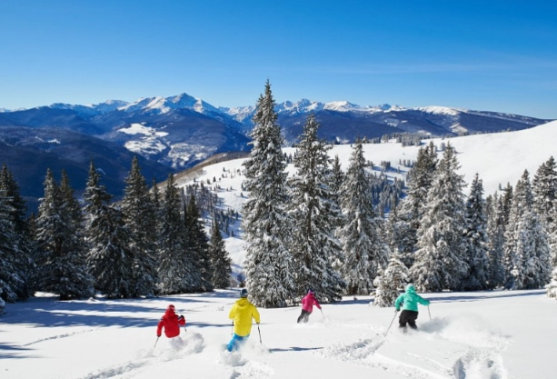 skier visits by resort usa