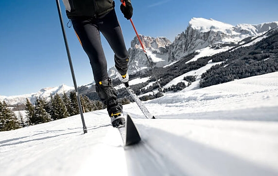 difference between telemark and cross country skiing