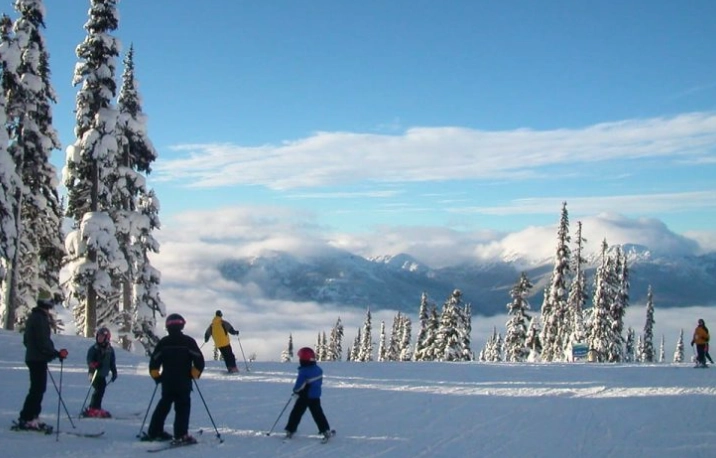 ski touring vs telemark