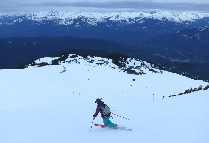 telemark ski vs alpine ski telemark ski vs alpine ski