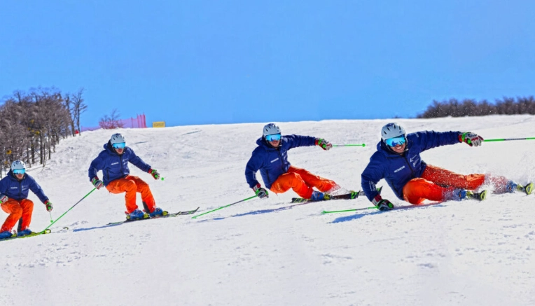 The Carved Turn: Your Complete Guide to Mastering Skiing's Most Essential Skill