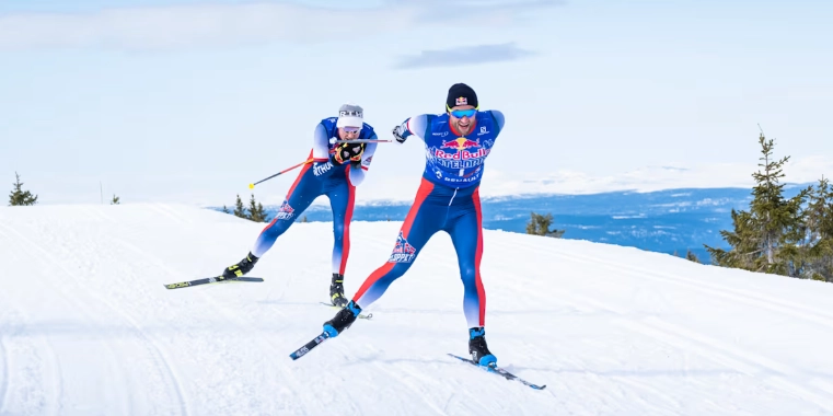 difference between cross country and alpine skiing