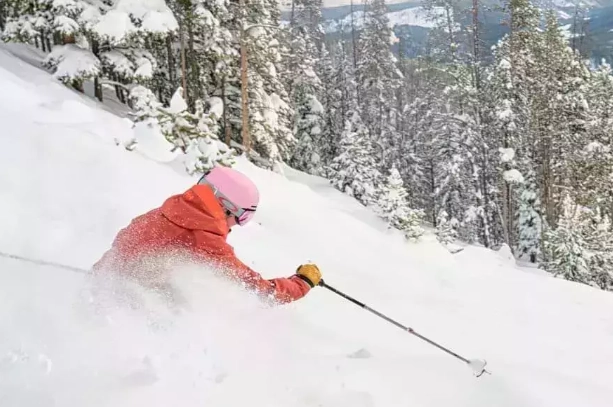 shred the gnar meaning