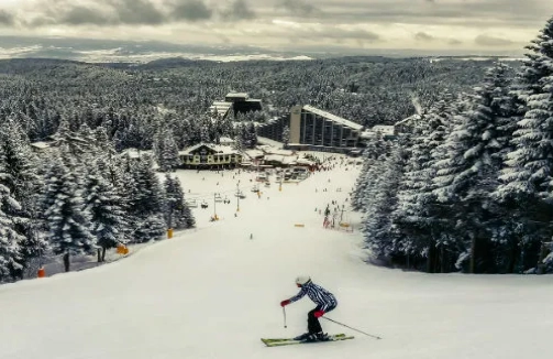 beginner skiing glossary