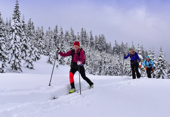 cross-country skiing gear