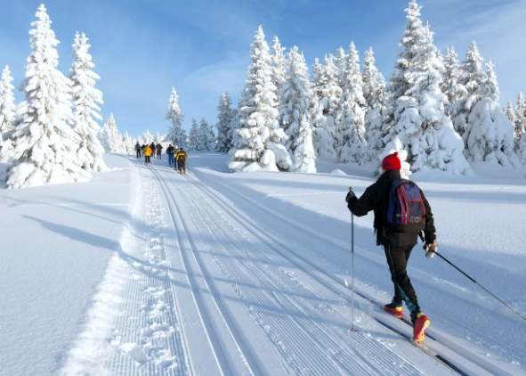 cross-country skiing for beginners