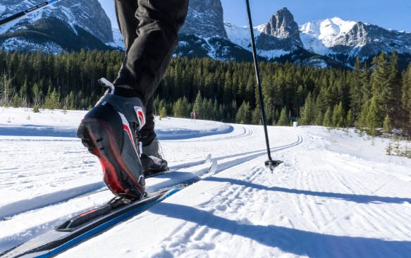 cross-country skiing for beginners