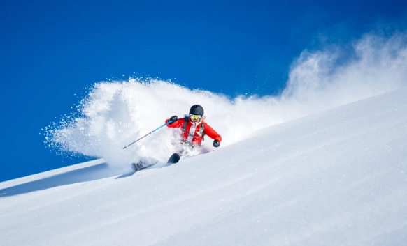 powder snow skiing technique
