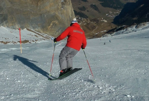 skiing stability exercises