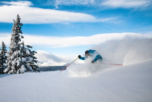 powder snow skiing technique