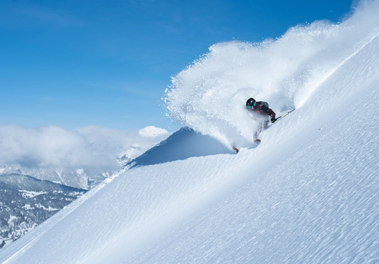 powder snow skiing technique