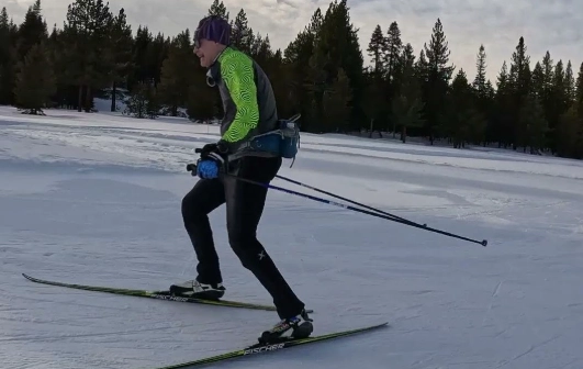 skiing technique