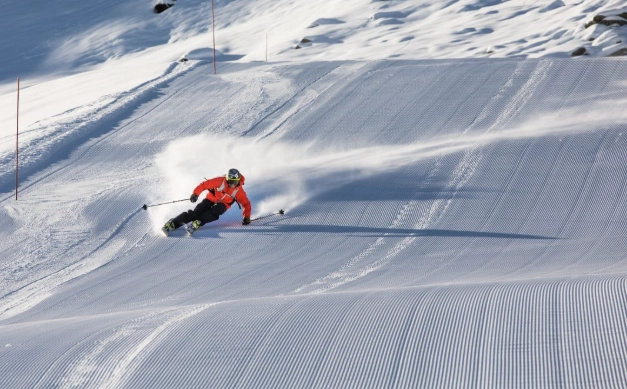 dryland ski training dryland ski training