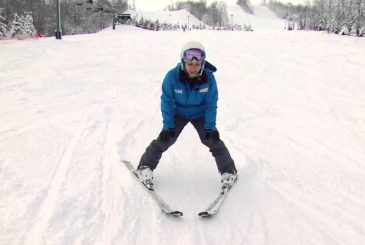 apres-ski french fries apres-ski french fries