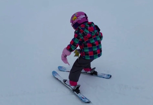 apres-ski french fries apres-ski french fries