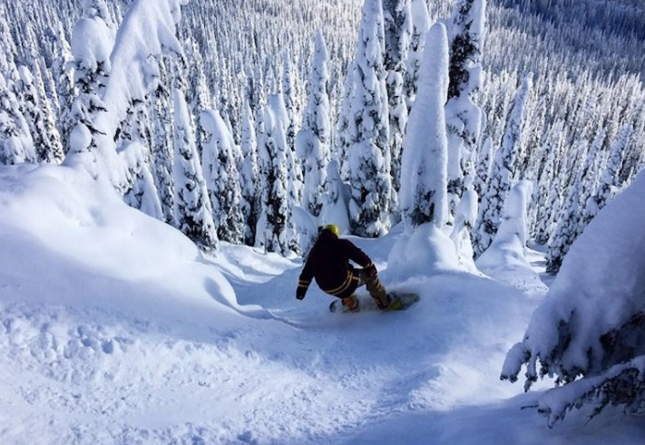 powder skiing in trees