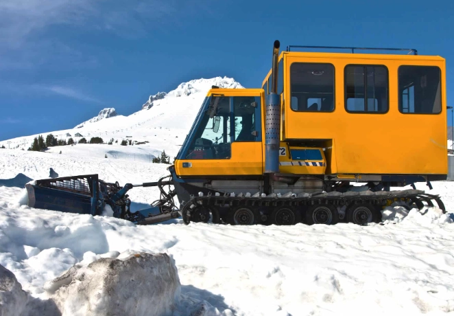 heli skiing vs cat skiing