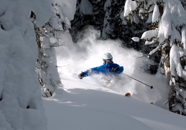 how to ski glades
