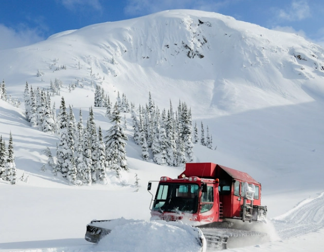 heli skiing vs cat skiing