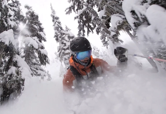 powder skiing in trees