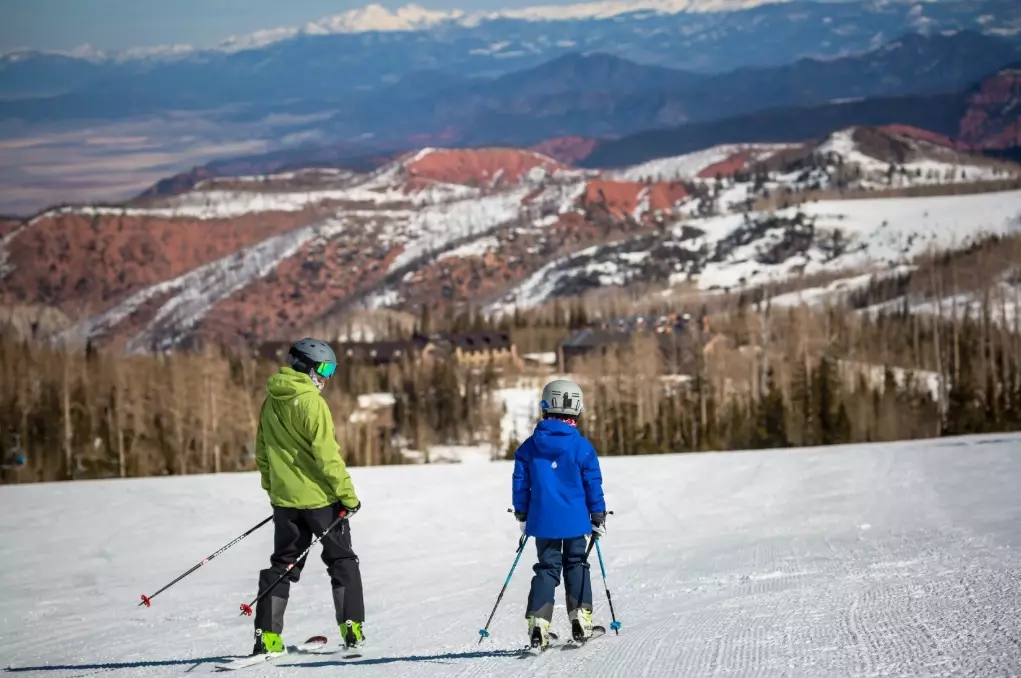 grooming machines grooming machines