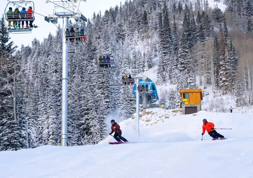 Snowbird lift tickets