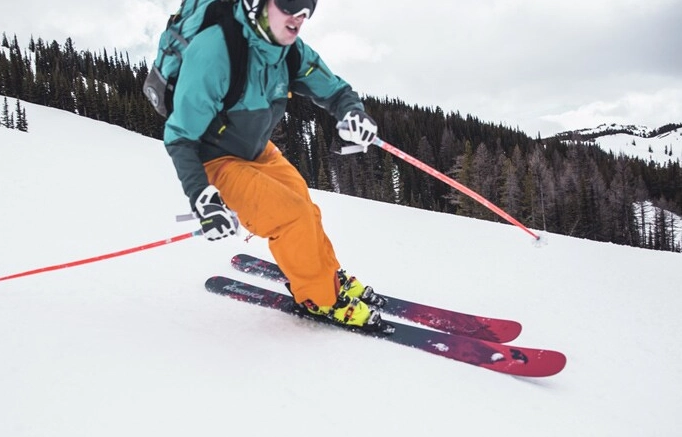 ski poles for beginners