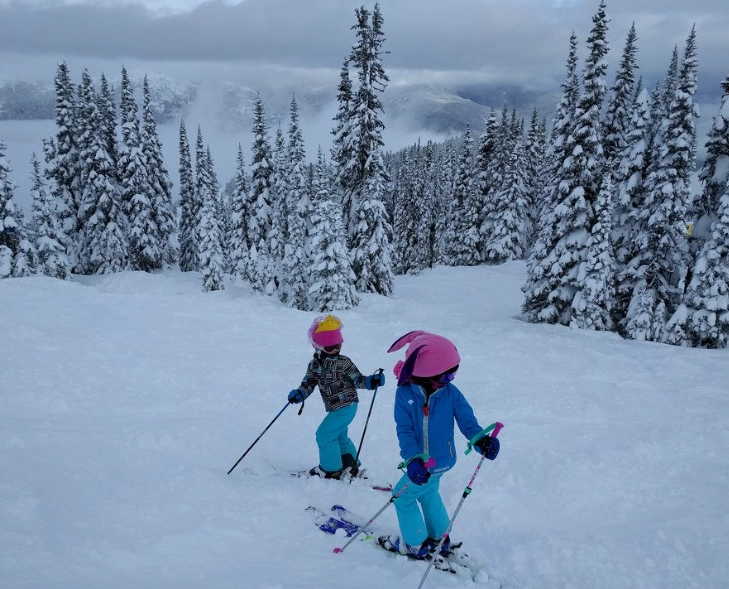 ski pole usage