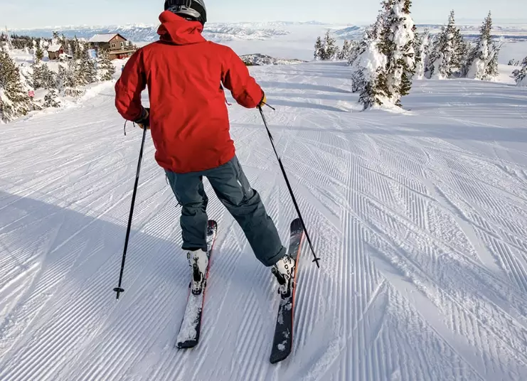 alpine ski poles